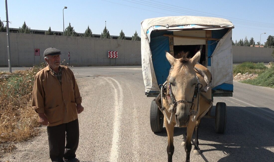 Kilis’in Elbeyli ilçesine bağlı Alahan köyünde yaşayan 75 yaşındaki Ramazan