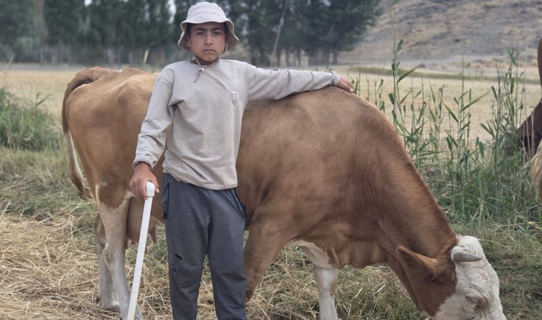 Yozgat’ın Sorgun ilçesine bağlı Araplı kasabasında yaşayan 12 yaşındaki Alperen