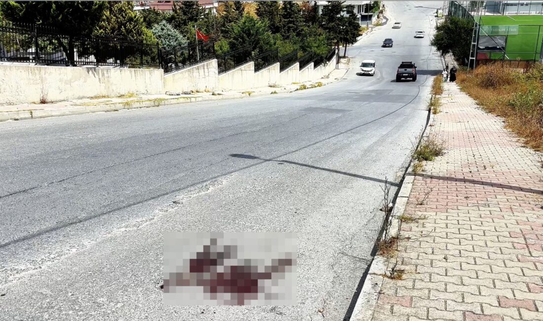 İstanbul'un Arnavutköy ilçesinde, iki kardeş arasında çıkan tartışma silahlı kavgaya