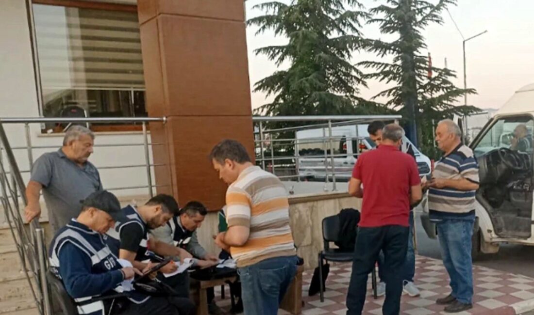Afyonkarahisar'da Maliye Bakanlığı'na bağlı denetim ekipleri, çeşitli sektörlerde hasılat tespit