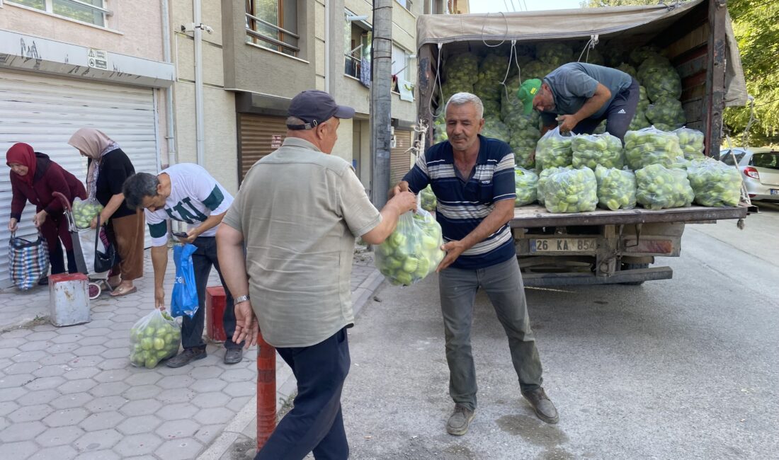 Eskişehir'de bir tarım üreticisi, toptancı halinde kilogramını 8 liradan sattığı