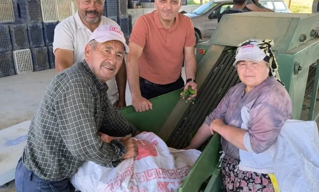 Afyonkarahisar'ın Dinar ilçesinde merkeze bağlı olan köylerde turşu yapımında kullanılmak