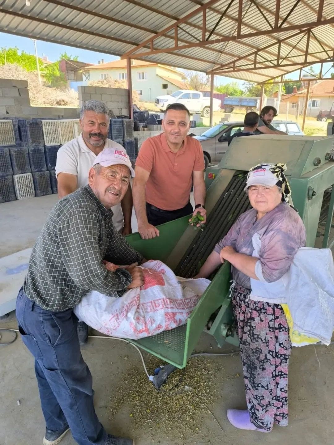 Afyonkarahisar'ın Dinar ilçesinde merkeze bağlı olan köylerde turşu yapımında kullanılmak