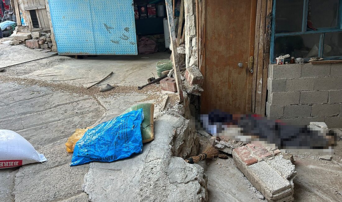 Burdur'un Yeşilova ilçesine bağlı bir köyde, yem boşaltımı esnasında freni