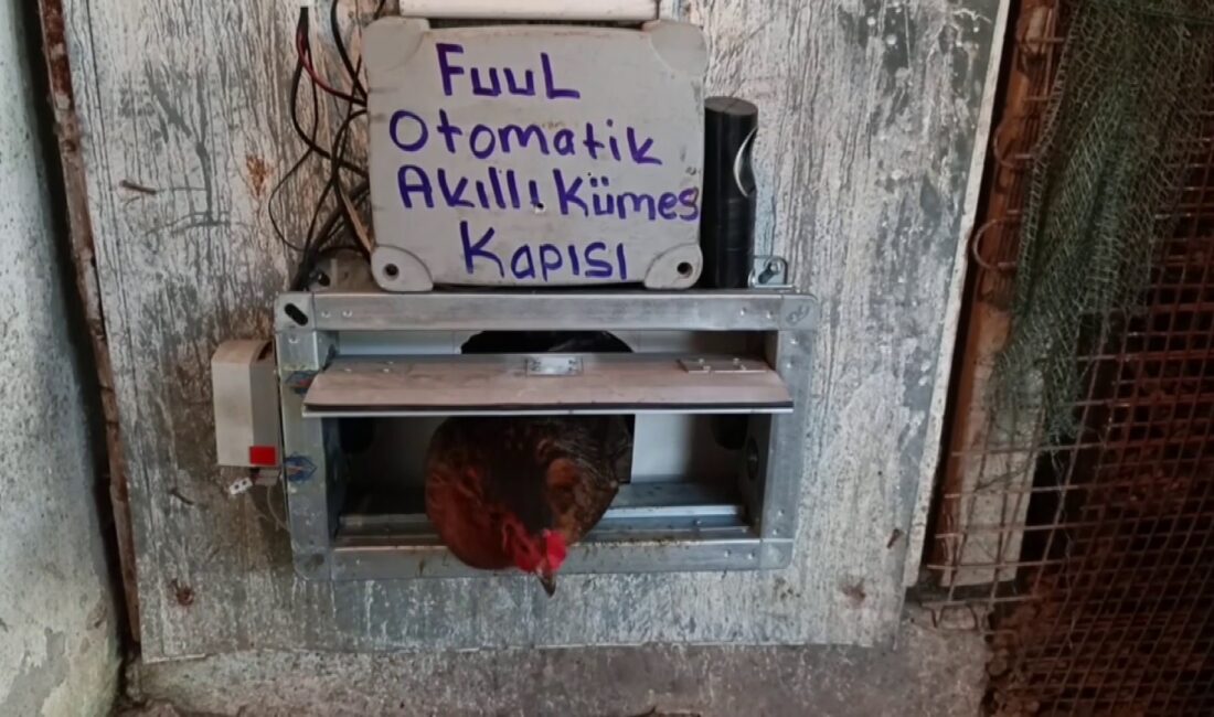  Sivas'ta yaşayan bir vatandaş, tavuklarının güvenliğini sağlamak ve bakımını kolaylaştırmak
