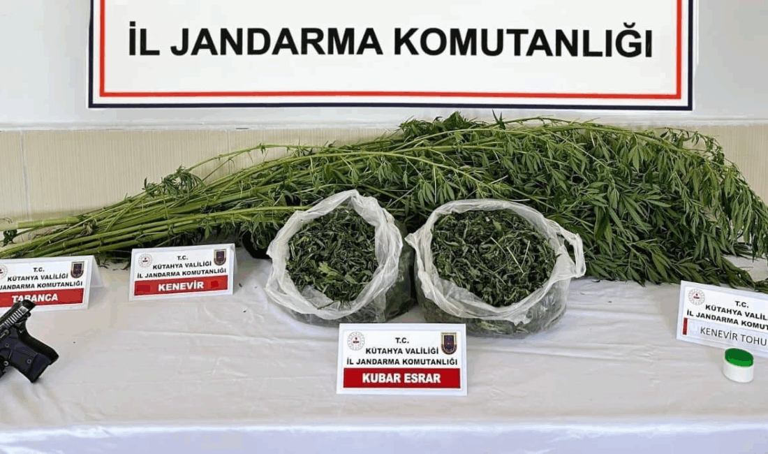 Kütahya İl Jandarma Komutanlığı ekipleri, Altıntaş ilçesine bağlı Akçaköy'de düzenledikleri