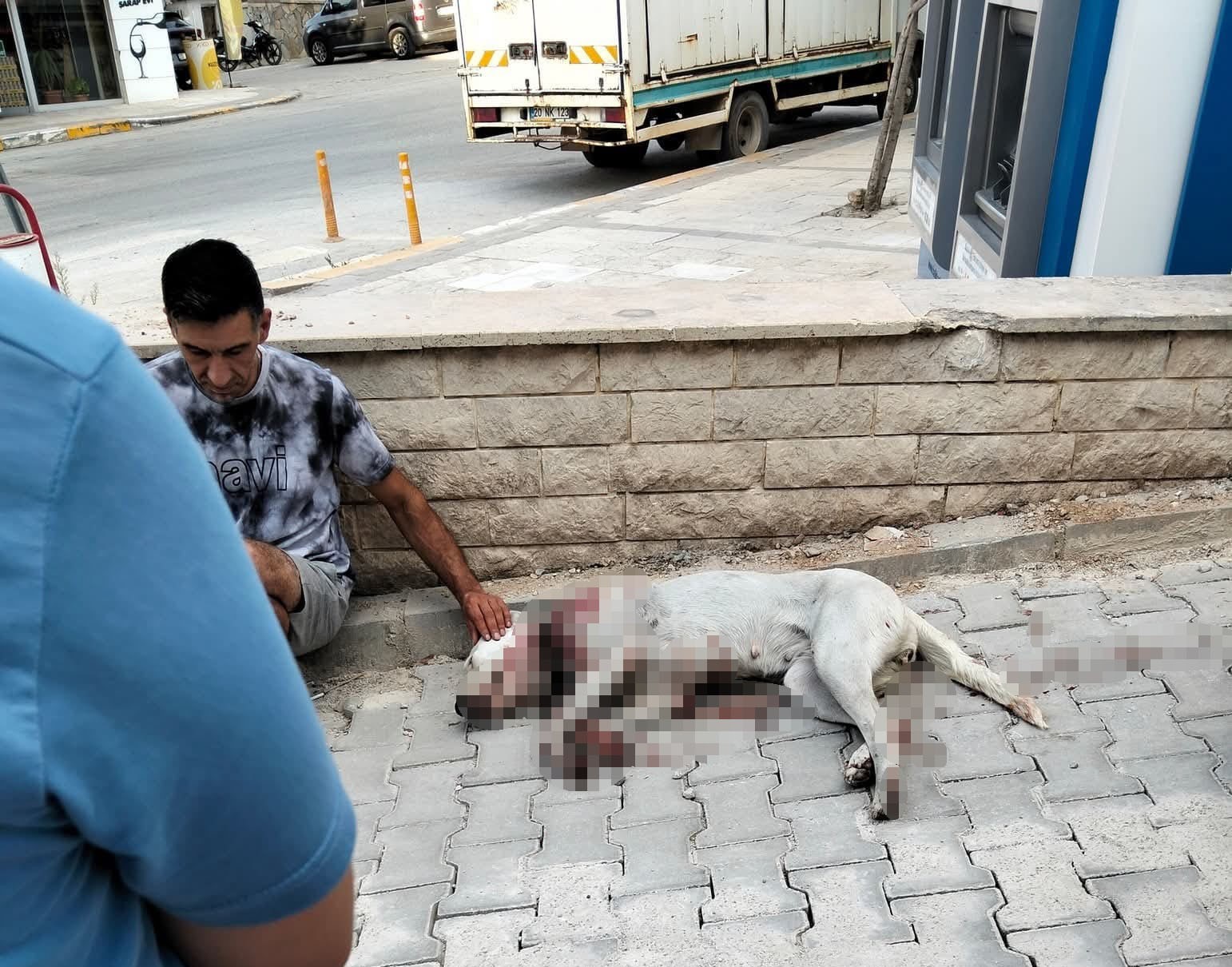 Denizli’nin Çal ilçesi İsmailler Mahallesi’nde A.P. adlı şahıs, hamile bir