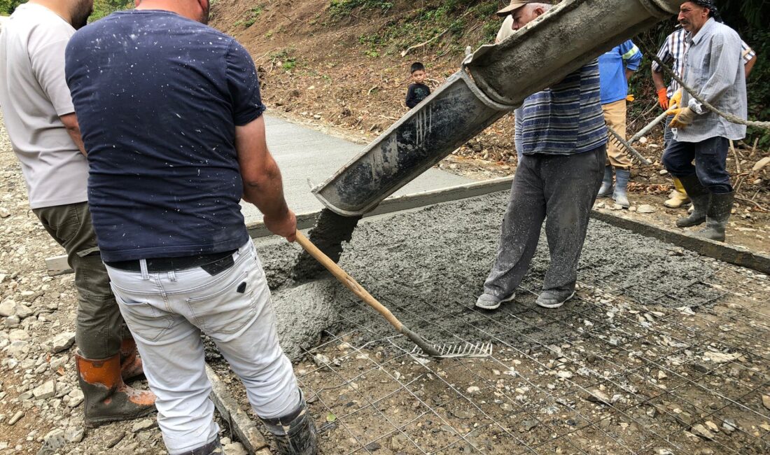 Sinop'un Ayancık ilçesine bağlı Yenigüler köyü sakinleri, kamu kurumlarından çözüm