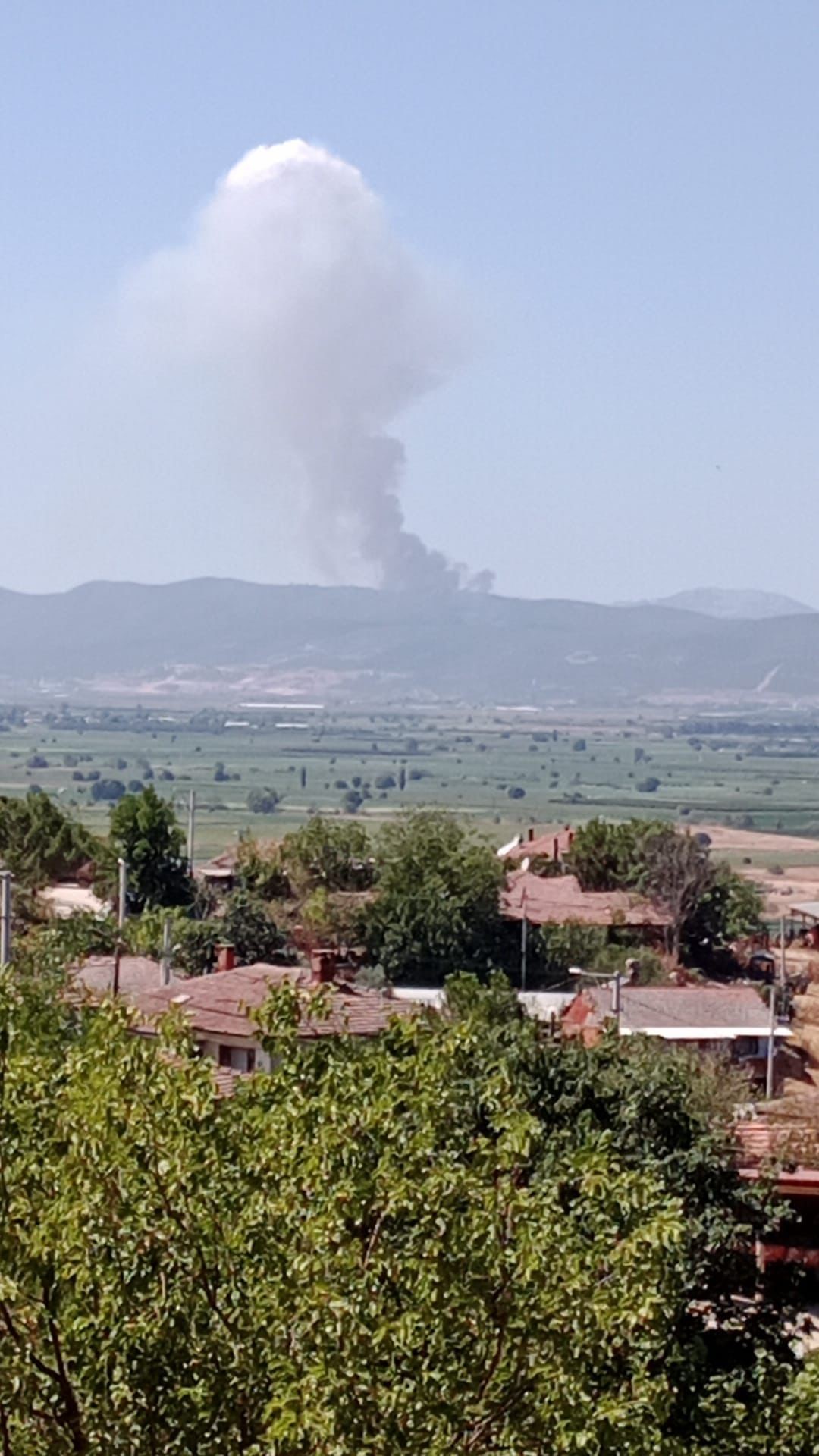  Bursa'nın Yenişehir ilçesi Fethiye Mahallesindeki ormanlık alanda yangın başladı.