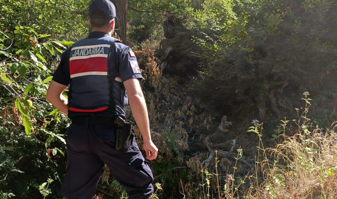 Bursa'nın İnegöl ilçesinde zihinsel engelli genç kayboldu. Ekipler genci bulmak