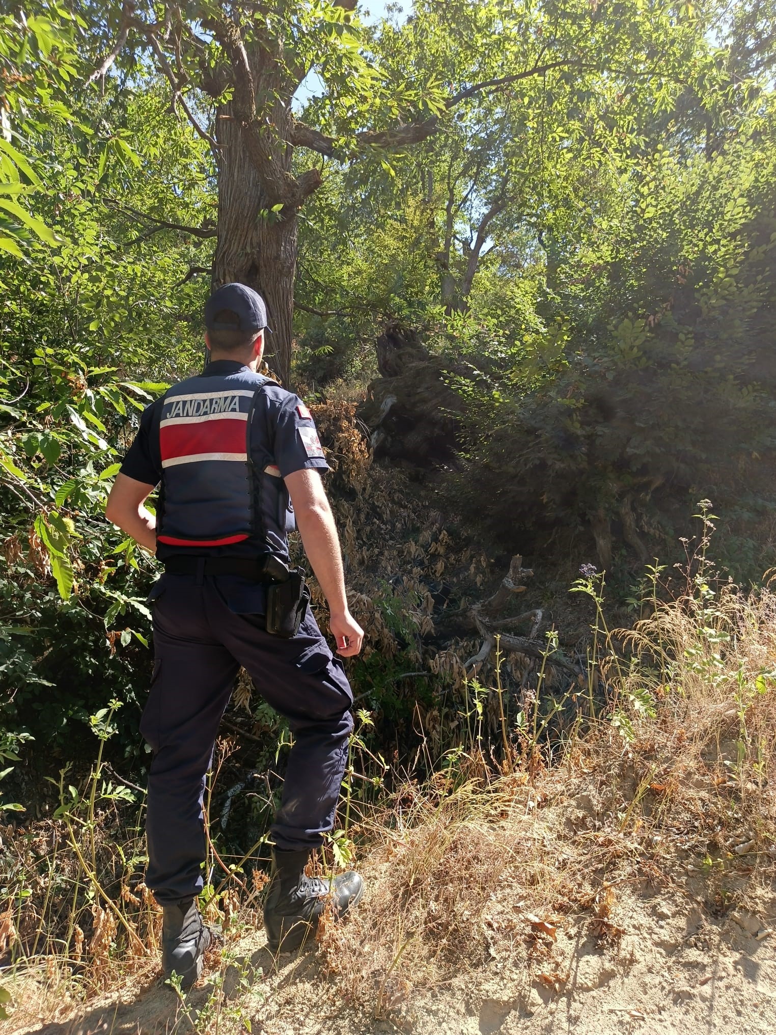 Bursa'nın İnegöl ilçesinde zihinsel engelli genç kayboldu. Ekipler genci bulmak