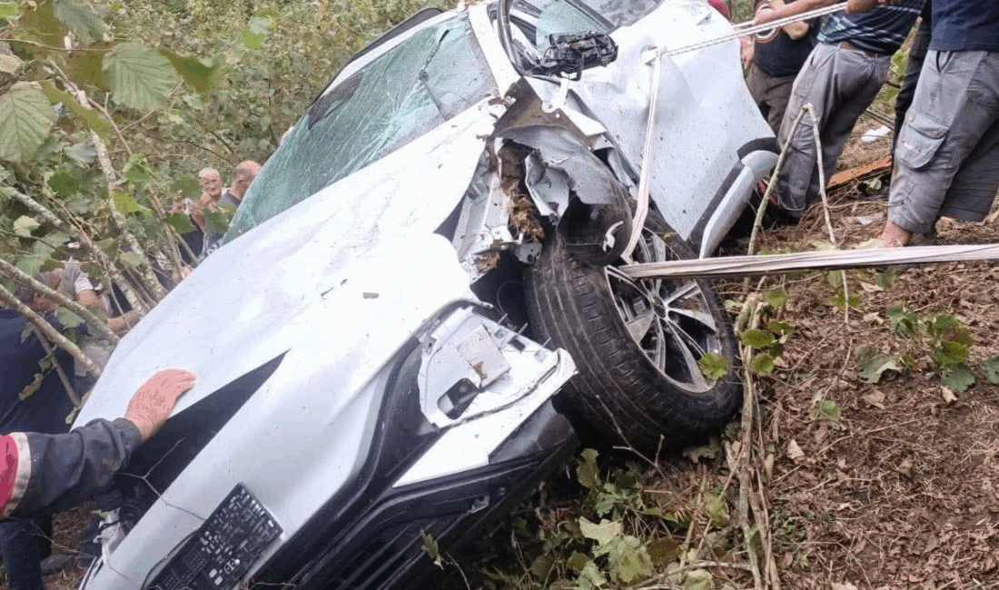 Giresun'un Görele ilçesinde, sürücüsünün direksiyon hakimiyetini kaybetmesi sonucu bir otomobilin