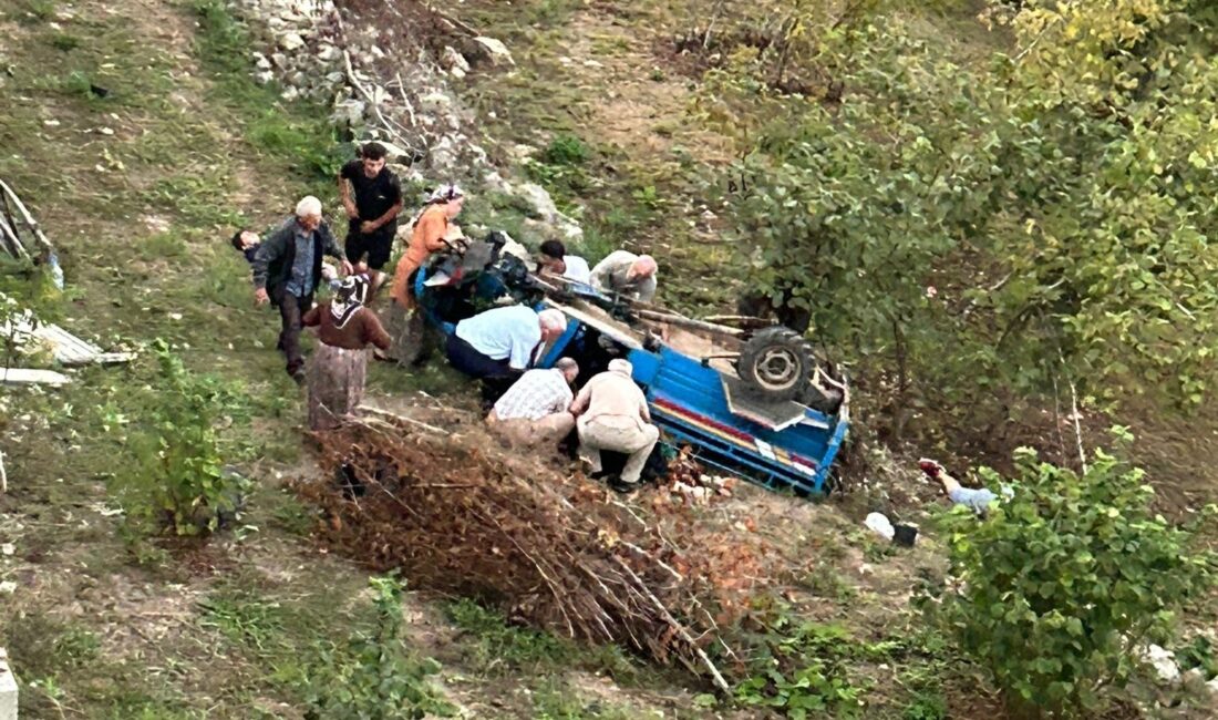 Ordu'nun Ünye ilçesinde, halk arasında 'patpat' olarak bilinen tarım aracının