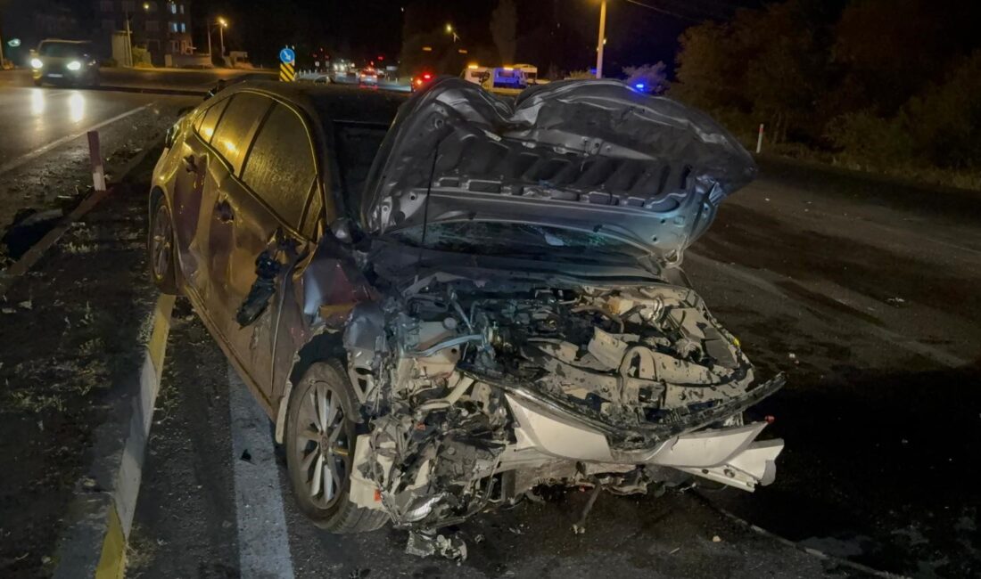 Afyonkarahisar'ın Çay ilçesinde iki otomobilin çarpışması sonucu meydana gelen elim