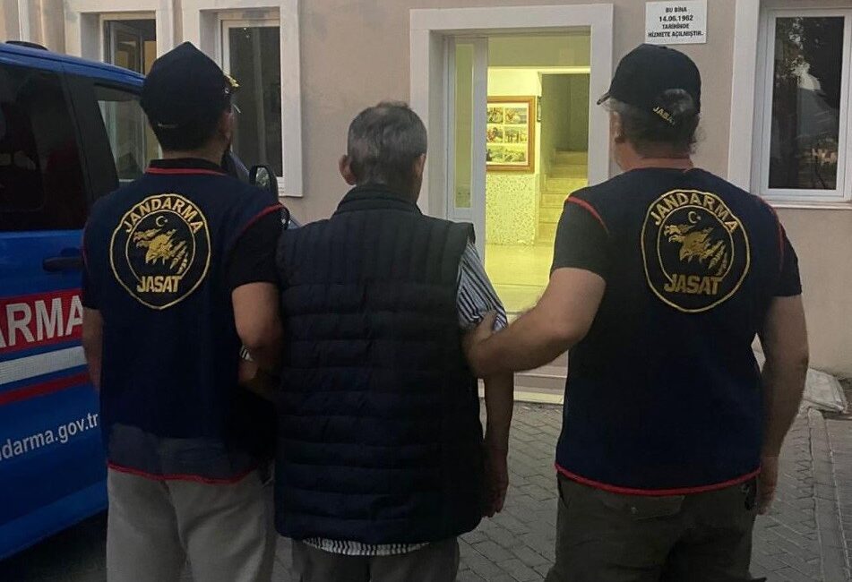 İzmir'in Selçuk ilçesinde 5'i köpek 3'ü kedi olmak üzere toplam