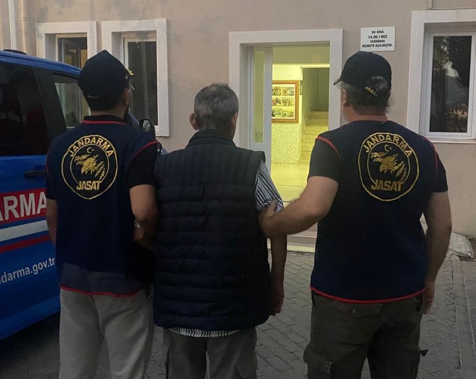 İzmir'in Selçuk ilçesinde 5'i köpek 3'ü kedi olmak üzere toplam