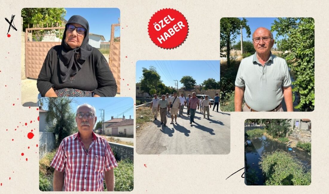 Afyonkarahisar’ın Emirdağ ilçesine bağlı Adayazı Köyü’nde yaşayanlar, köyden geçen çay
