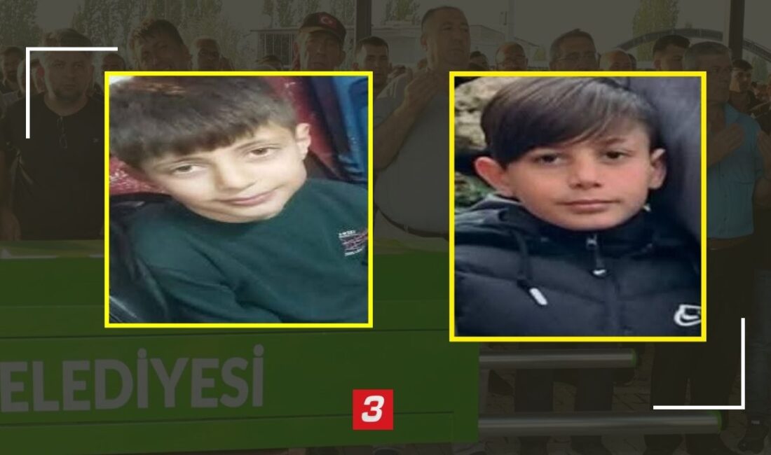 Afyonkarahisar’ın İhsaniye ilçesine bağlı Yaylabağı beldesinde serinlemek için gölete giren