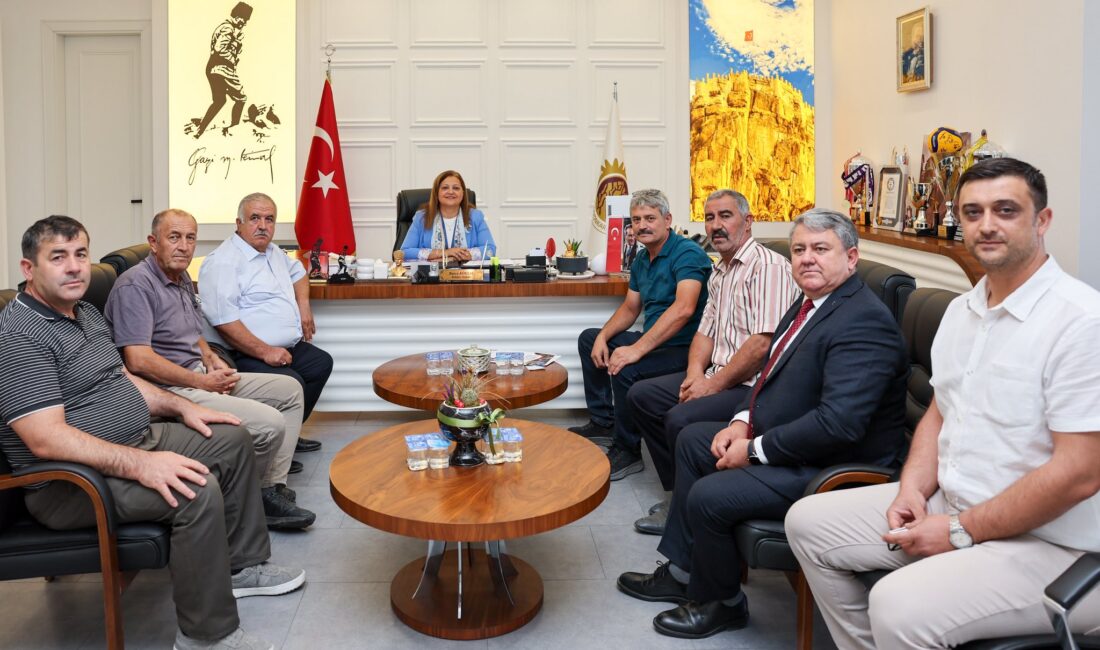 S.S. Afyon İkinci Karma Sanayi Sitesi ve Modern Küçük Sanayi