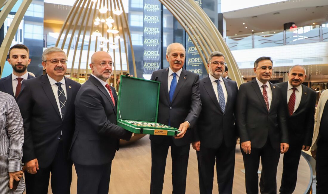 AK Parti Afyonkarahisar Milletvekili Hasan Arslan, Türkiye Büyük Millet Meclisi