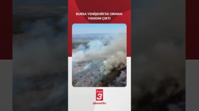 Bursa’nın Yenişehir ilçesi Fethiye Mahallesi’nde ormanlık alanda yangın çıktı. Alevler