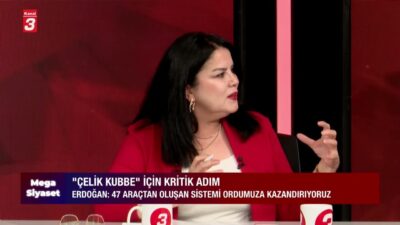 Mega Siyaset’te bu hafta: İç siyaset ve dış politika, Çelik