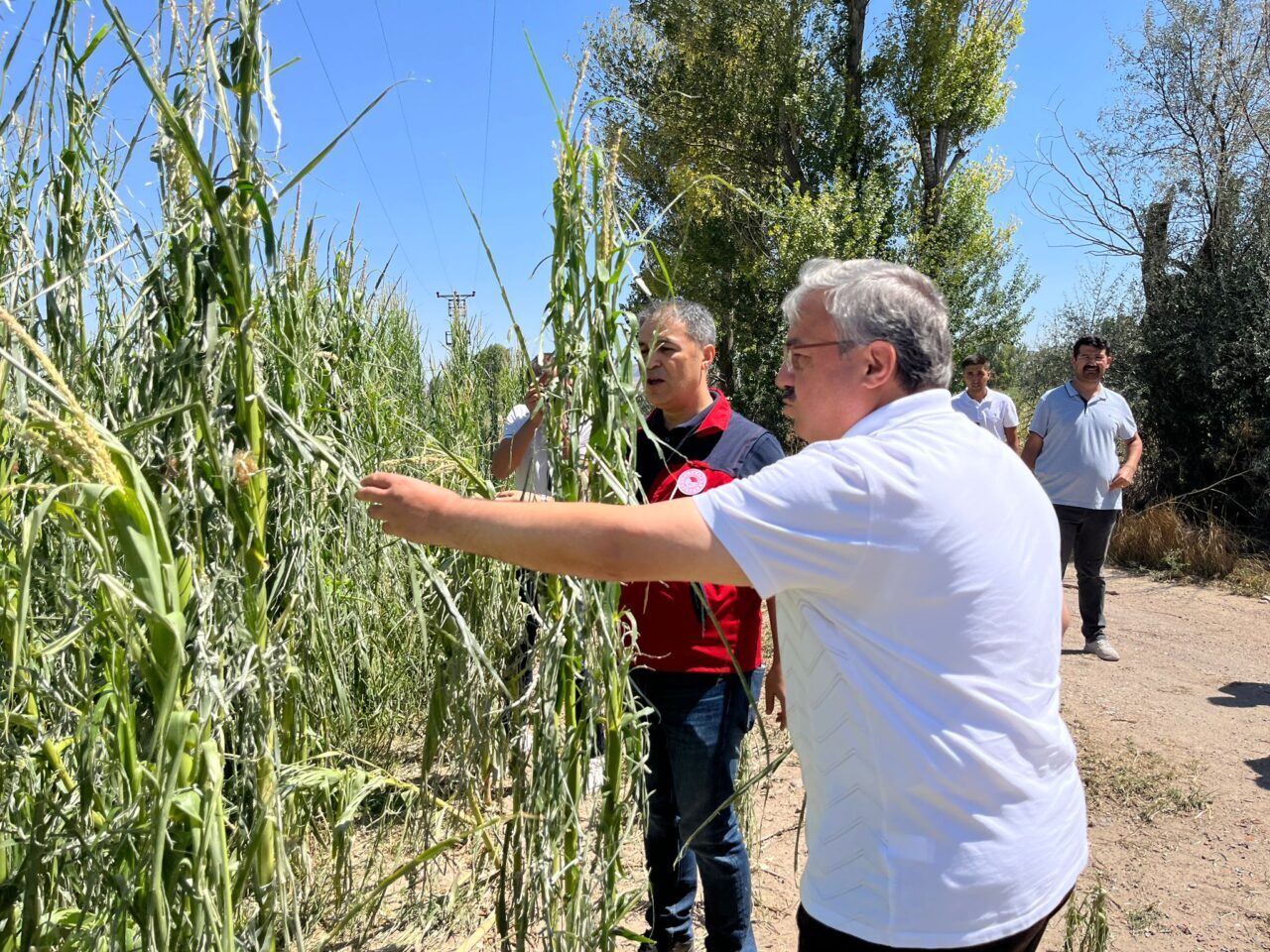 AFYONKARAHİSAR (AA) – Afyonkarahisar'ın Nuribey beldesinde etkili olan dolu nedeniyle