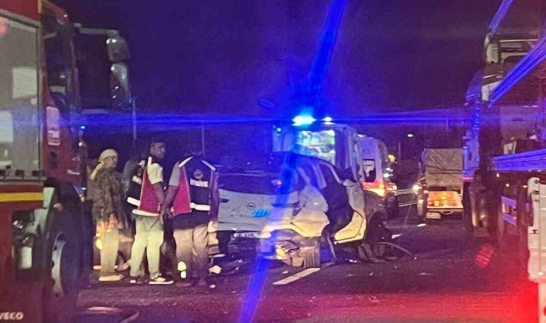 Bilecik’te aniden yola çıkan domuz nedeniyle kontrolden çıkan otomobilin bir