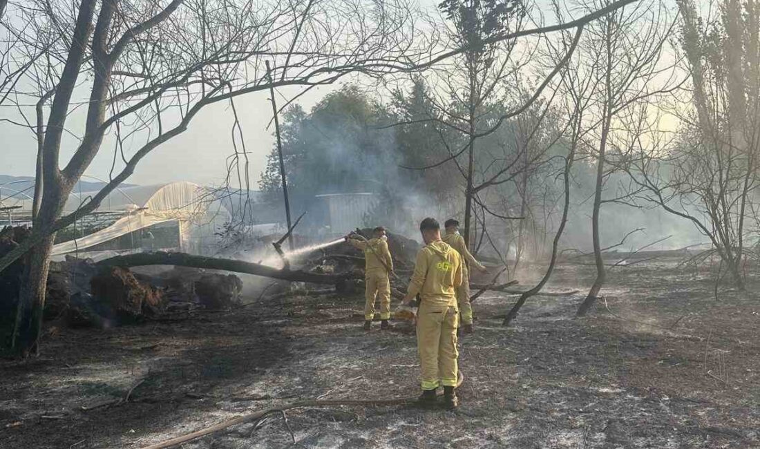Eskişehir’in Sarıcakaya ilçesinde çıkan anız yangını itfaiye ekiplerinin müdahalesi ile