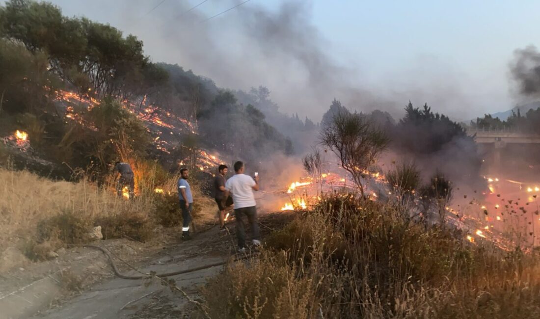 Aydın'da otoyoldaki kamyonda çıkıp ağaçlık alana sıçrayan yangın söndürüldü.