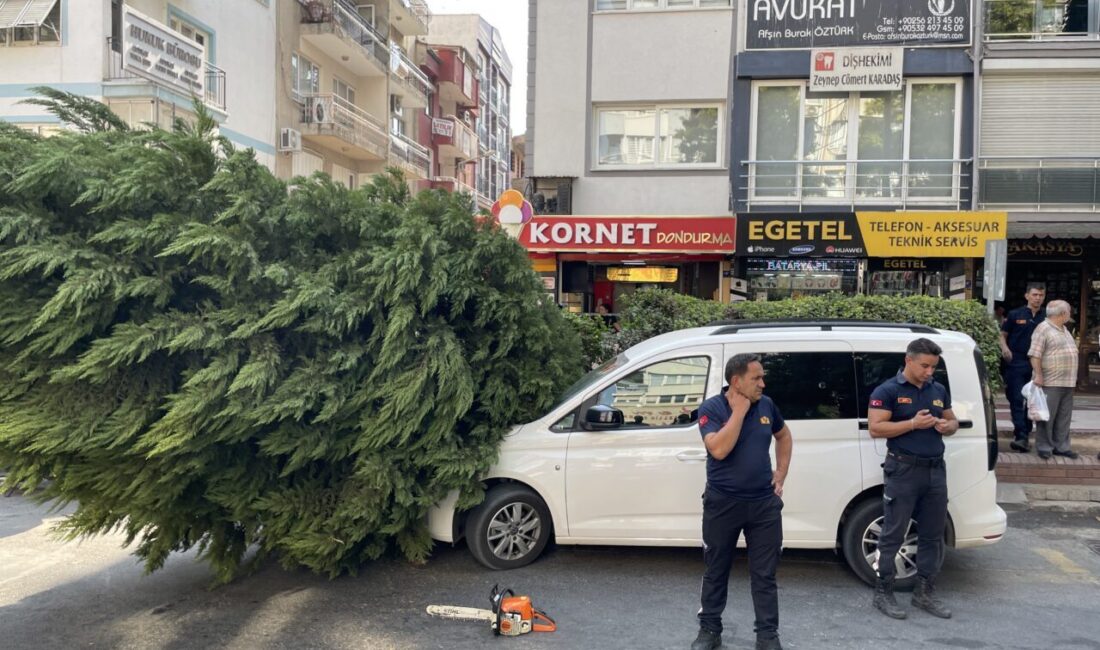 Aydın'ın Efeler ilçesinde üzerine ağaç devrilen otomobil zarar gördü.