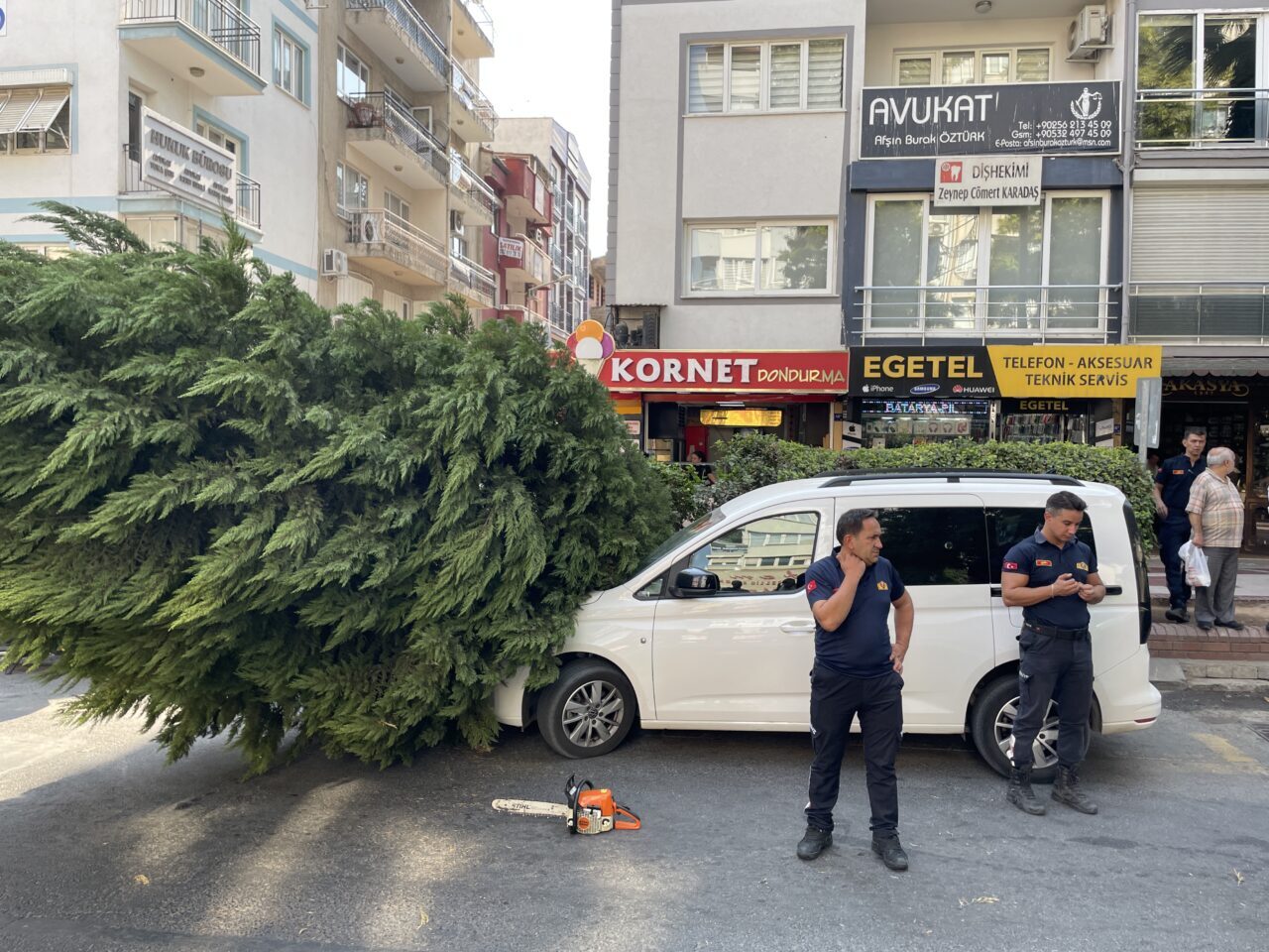 Aydın'ın Efeler ilçesinde üzerine ağaç devrilen otomobil zarar gördü.