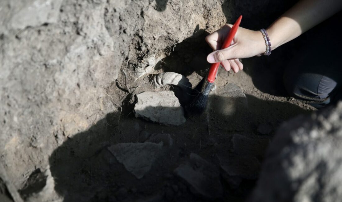 Muğla'nın Seydikemer ilçesindeki Çaltılar Höyük kazısında ele geçen seramik buluntular