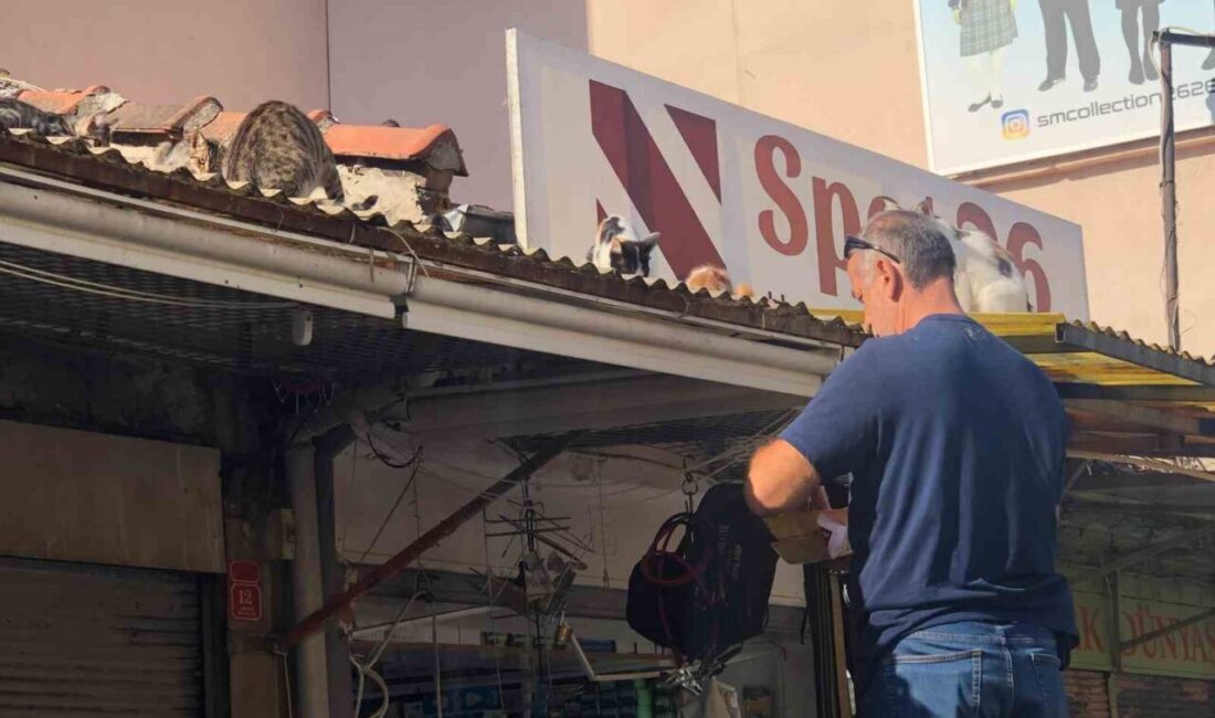 Eskişehir’de esnaf hergün çatıya tırmanıp kedileri besliyor Eskişehir’de bir esnaf çatısına düzenli olarak gelen sokak kedilerine her