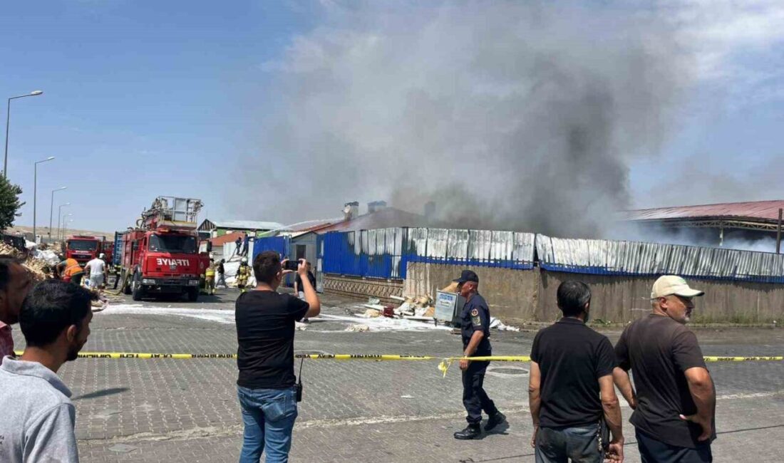 Eskişehir’de bir geri dönüşüm deposunda çıkan yangın yanında bulunan 3