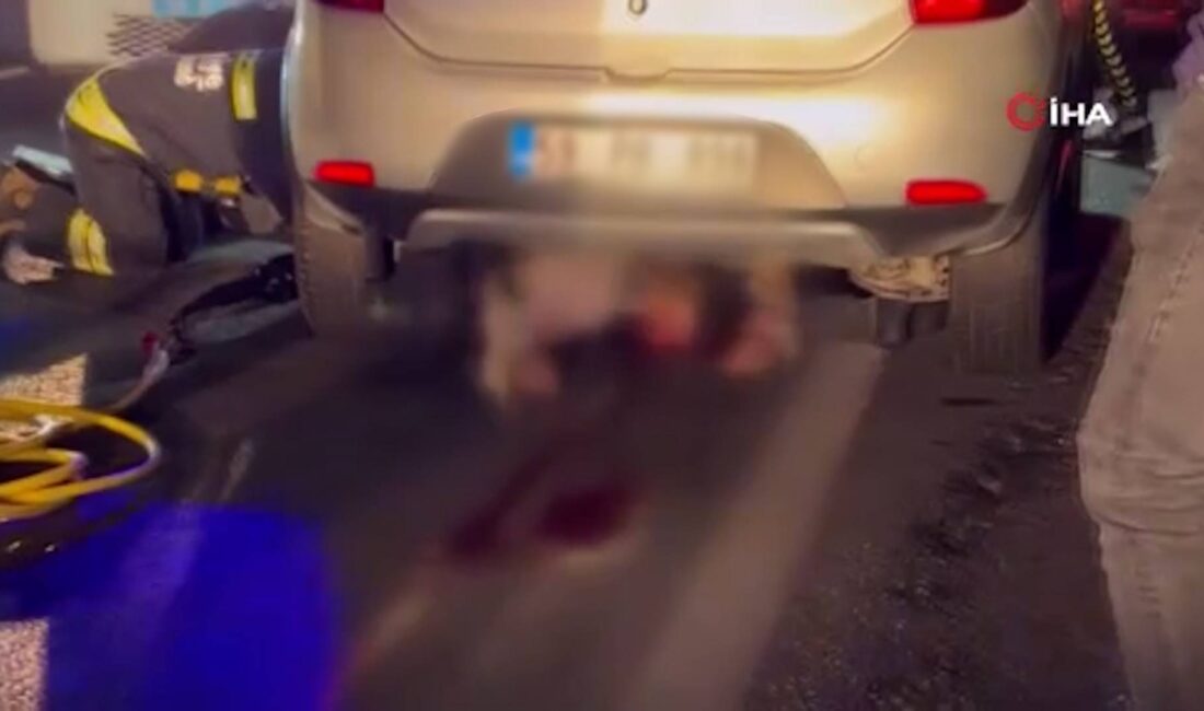 Tekirdağ'ın Çorlu ilçesinde, sabaha karşı yol ortasında oturduğu iddia edilen