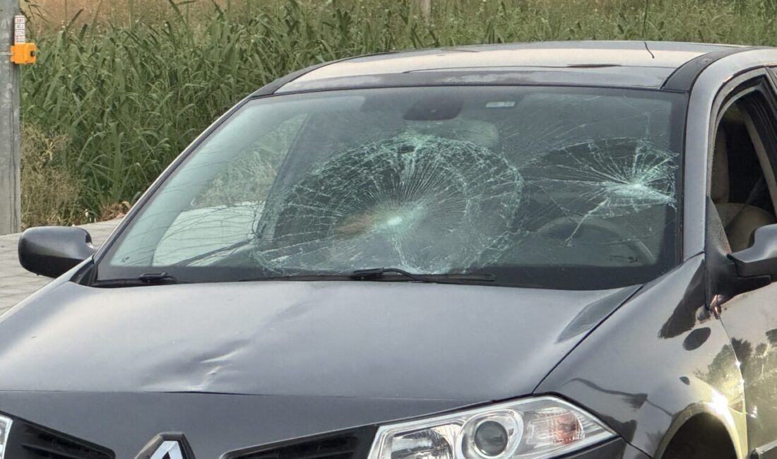  Muğla'nın Fethiye ilçesinde otomobilin çarptığı yabancı uyruklu kadın ağır yaralandı.