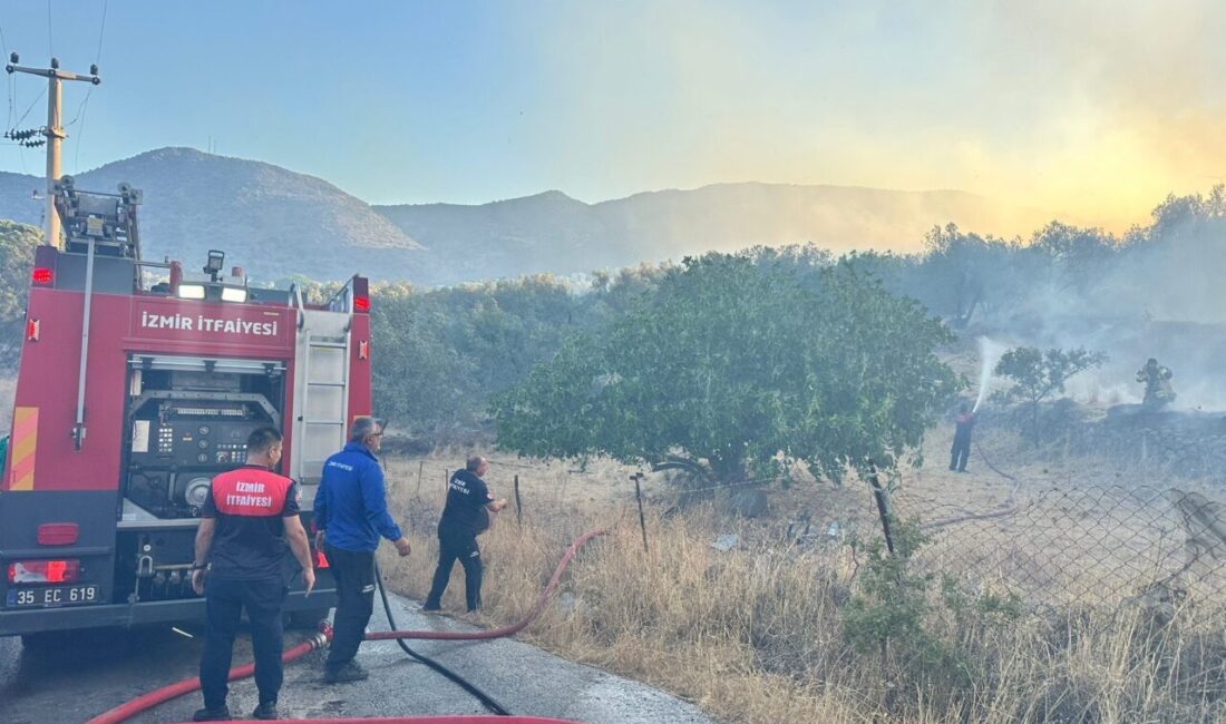 İzmir'in Dikili ilçesinde bir sitede çıkan ve makilik alana sıçrayan