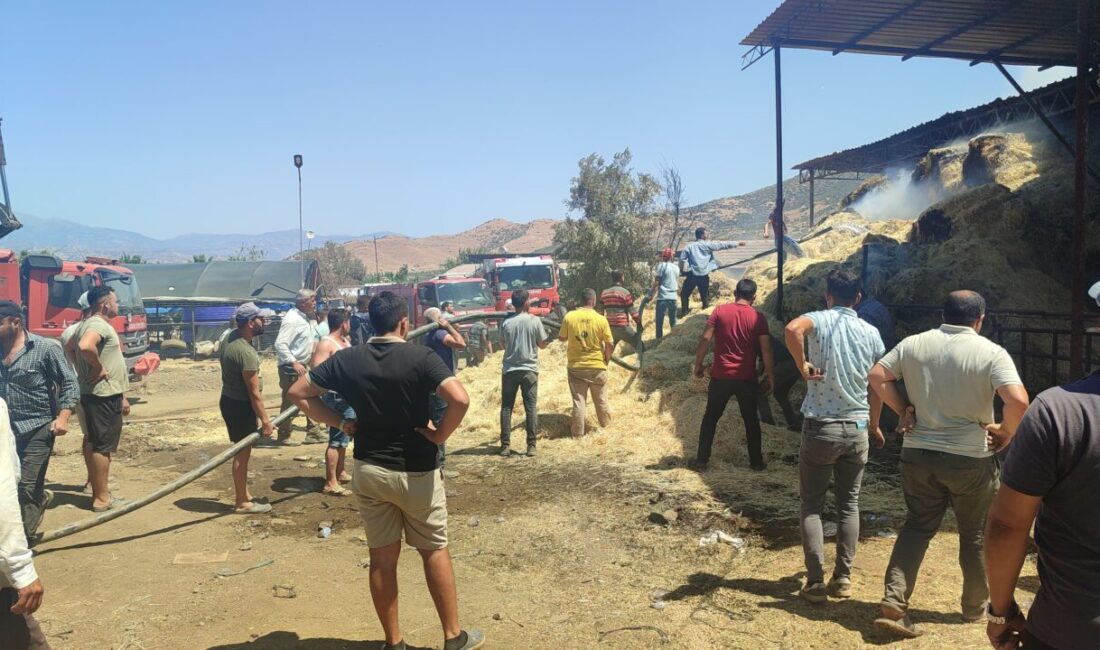 İzmir'in Ödemiş ilçesinde bir çiftlikte çıkan yangında 16 büyükbaş hayvan