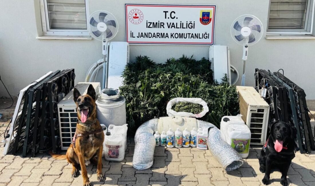 İzmir'in Menderes ilçesinde düzenlenen uyuşturucu operasyonunda 1 şüpheli gözaltına alındı.