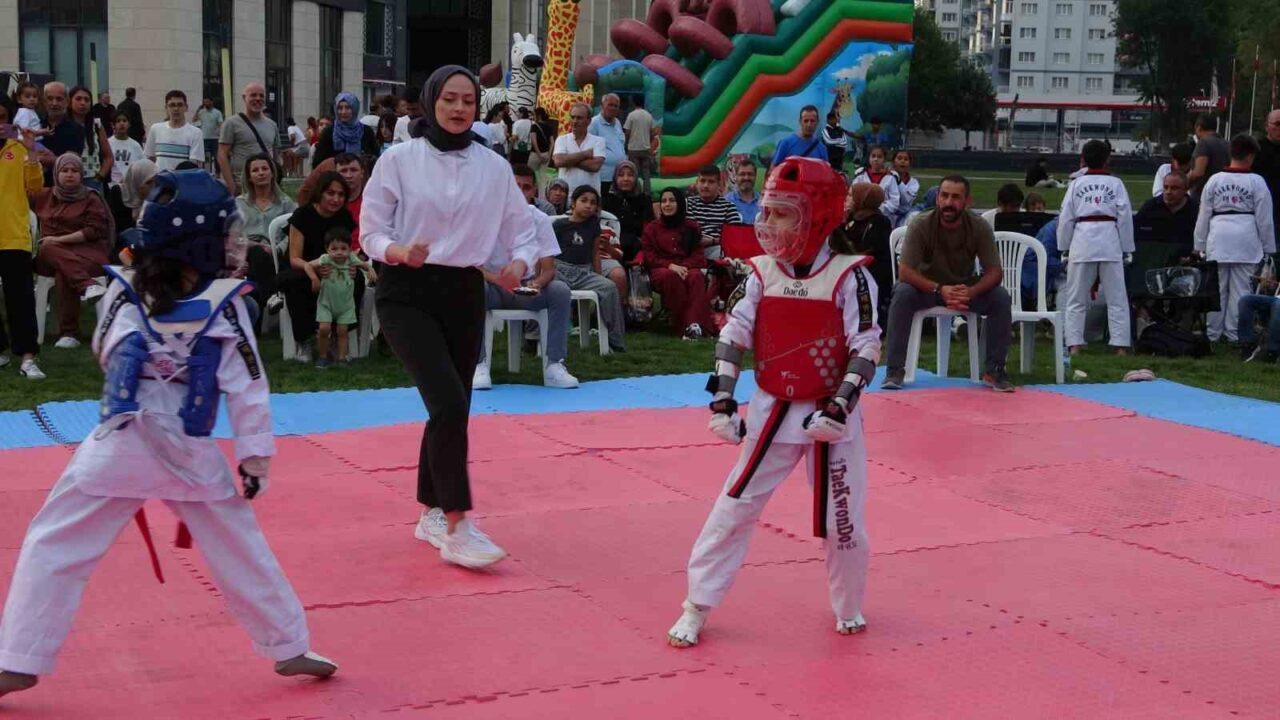 Kütahya’da düzenlenen Minikler Açık Hava Taekwondo Turnuvası, 8 kategoride 65