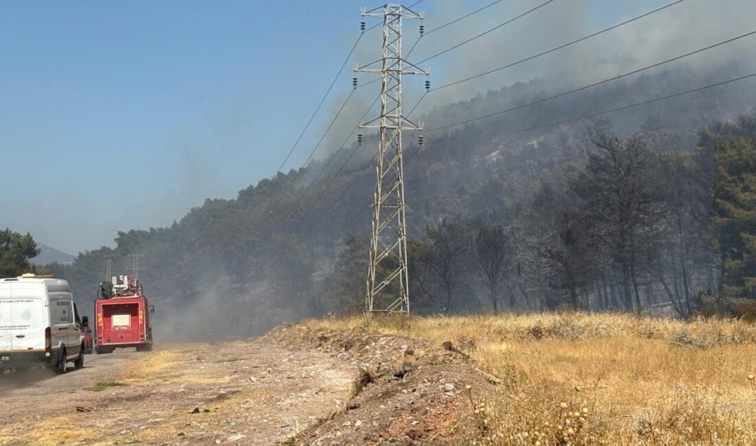 Manisa'nın Soma ilçesinde çıkan orman yangınına havadan ve karadan müdahale
