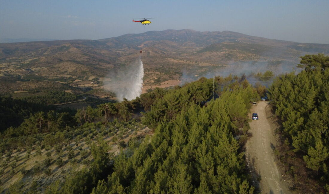 Manisa'nın Demirci ilçesinde ormanlık alanda çıkan yangın kontrol altına alındı.