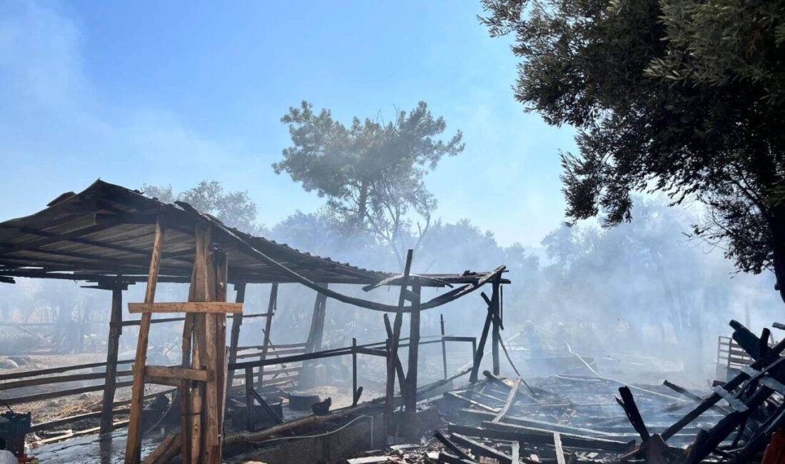 Muğla'nın Seydikemer ilçesinde ahırda çıkan yangında 14 küçükbaş hayvan telef
