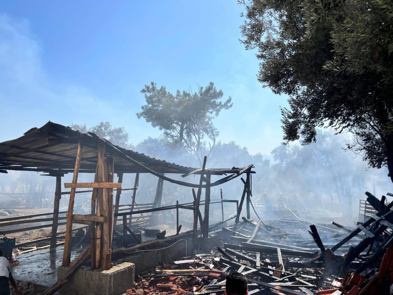 Muğla'nın Seydikemer ilçesinde ahırda çıkan yangında 14 küçükbaş hayvan telef