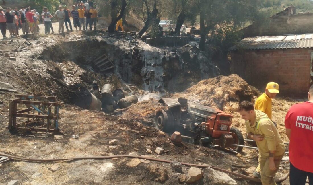 Muğla'nın Milas ilçesinde devrilmesinin ardından alev alan traktörün sürücüsü hayatını