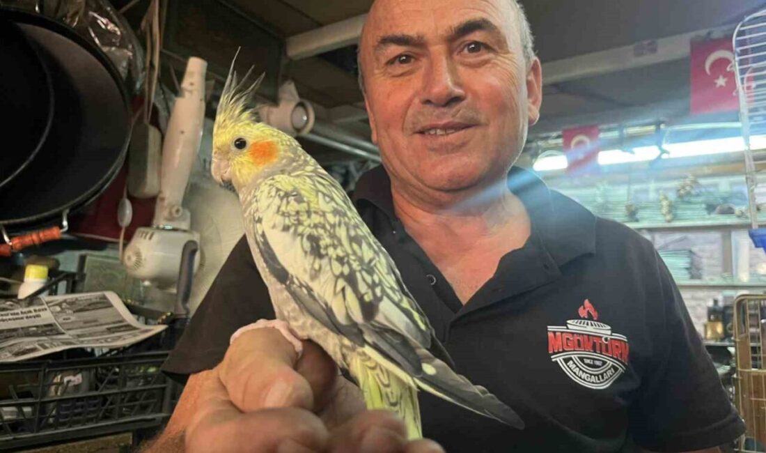 Kütahya’nın Tavşanlı ilçesinde dede mesleği olan soba ve mangal imalatını