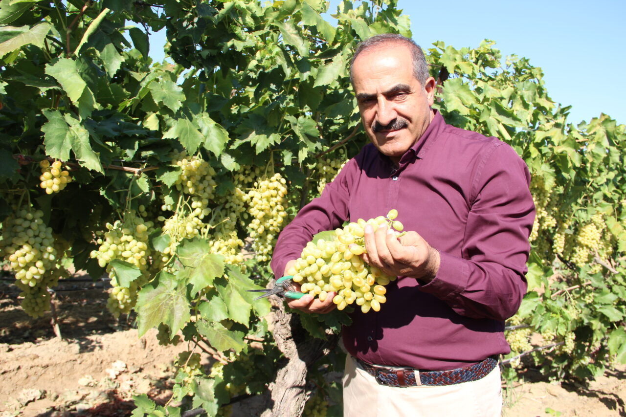 Ege Yaş Meyve Sebze İhracatçıları Birliği Başkanı Hayrettin Uçak, 4