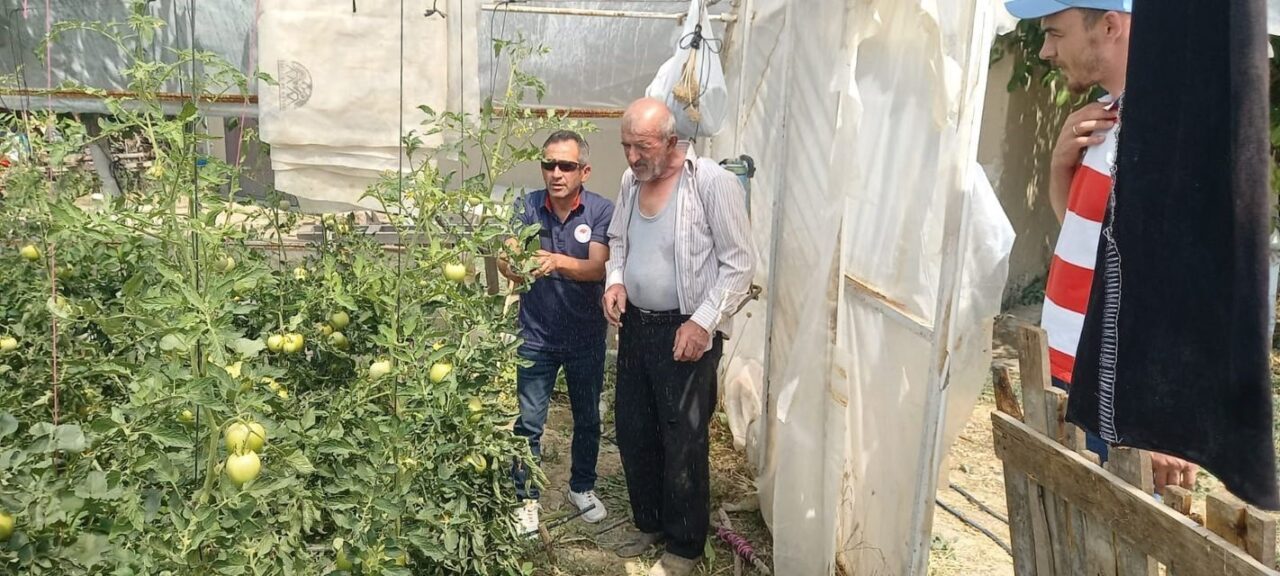Elbette, istenen görev tanımına ve kurallara uygun olarak hazırladığım profesyonel