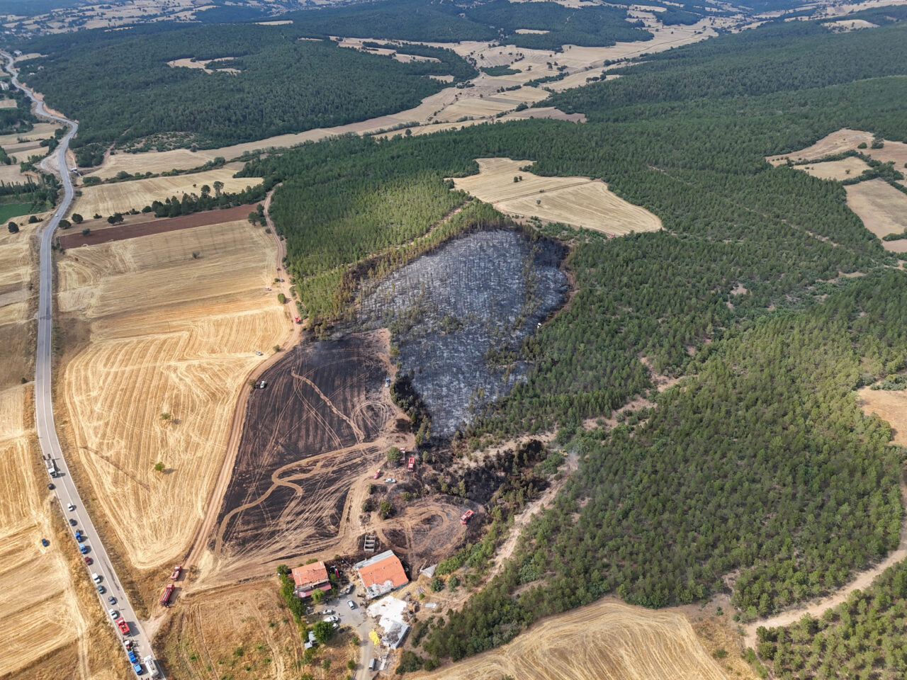Uşak’ın Banaz ilçesinde bir tarlada çıkan anız yangını, rüzgarın etkisiyle